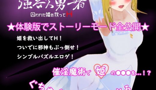 『強欲勇者 -囚われた姫を救ってH-』
