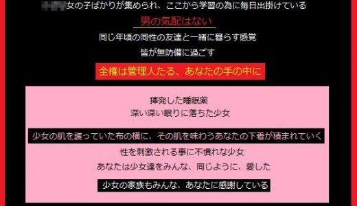 眠る少女の部屋に入り込む、アパートの管理人である、あなた
