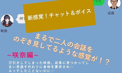 【新感覚！】ボイス＆チャット動画シリーズ 万引き少女 咲奈