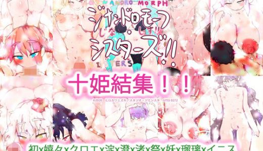 十姫結集！！初x嬉々xクロエx淀x澄x渚x祭x妖x瑠璃xイニス～私たち看板娘、ジナンドロモーフ・シスターズ！！～