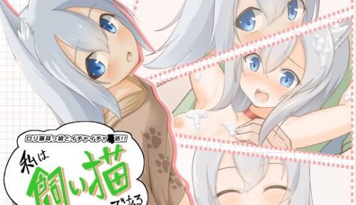 私は飼い猫である！名前はまだにゃい！