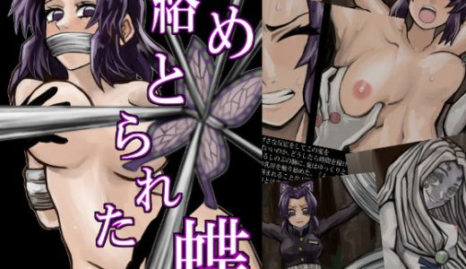 絡めとられた蝶