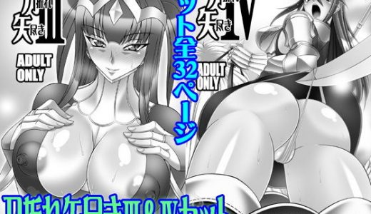 刀折れ矢尽きIII＆IVセット