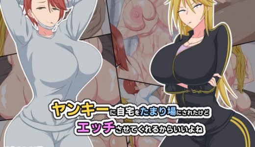 ヤンキーに自宅をたまり場にされたけどエッチさせてくれるからいいよね