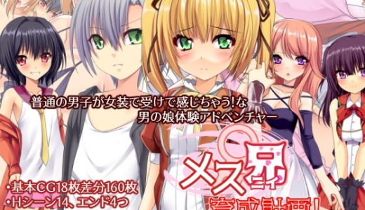 メス兄育成計画！～乙弟に誘われイジられ甘イキしちゃうオレ～
