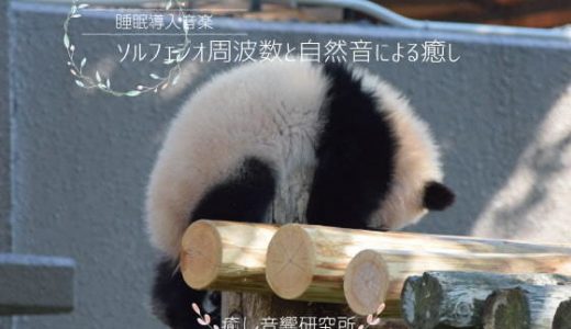 ソルフェジオ周波数と自然音による癒し