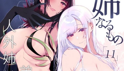 姉なるもの11