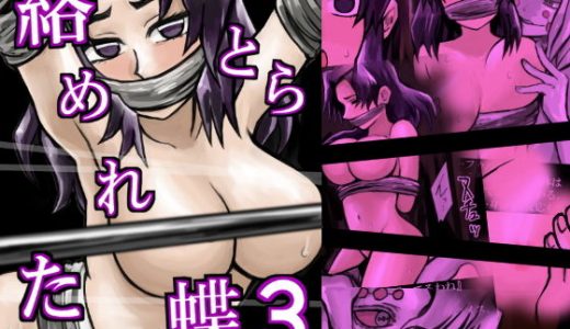 絡めとられた蝶3