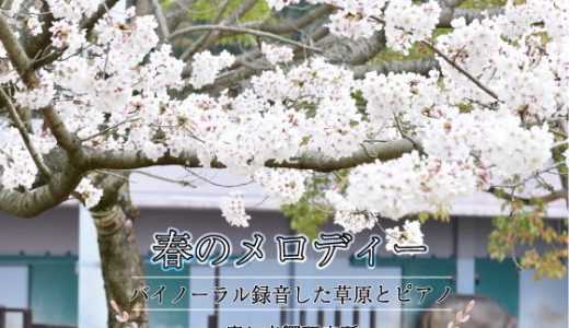 春のメロディー バイノーラル録音した草原とピアノ