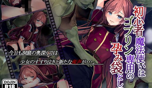 初心者魔法使いはゴブリン専用の孕み袋として
