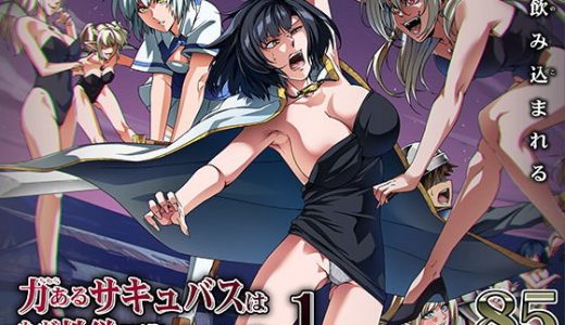 力あるサキュバスは性欲を満たしたいだけ 1