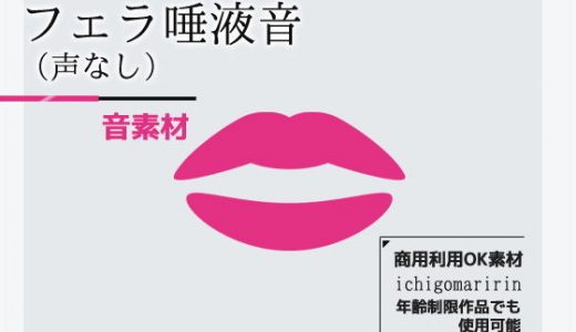 音素材「フェラ唾液音/声なし」～商用OK著作権フリー