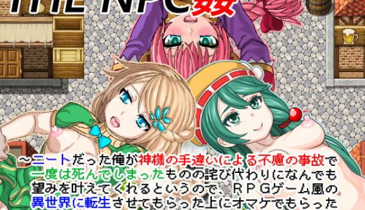 THE NPC姦 ～ニートだった俺が（以下略）～