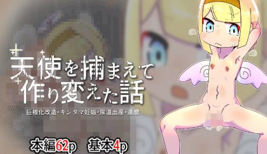 天使を捕まえて作り変えた話