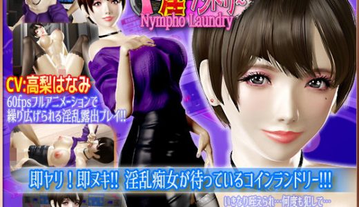 Nympho Laundry / ド淫ランドリー