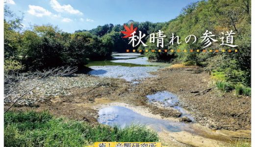 秋晴れの参道 バイノーラル録音によるバーチャル参拝