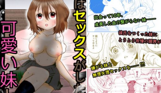 俺はセックスがしたい、可愛い妹と。
