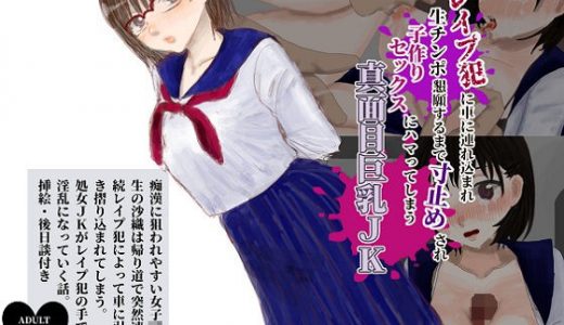 レ●プ犯に車に連れ込まれ生チンポ懇願するまで寸止めされ子作りセックスにハマってしまう真面目巨乳●●