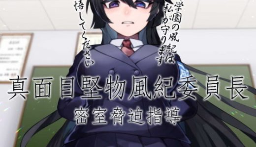 真面目堅物風紀委員長 密室脅迫指導
