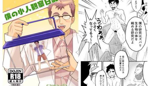 僕の小人観察日記