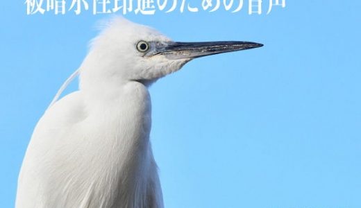 被暗示性昂進の為の音声