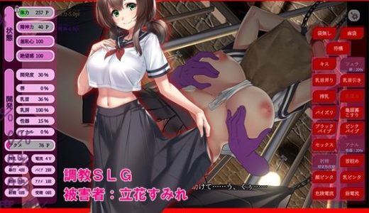 陰キャ以下の僕にも分け隔てなく接してくれた天使のような女性を逆恨みして監禁して僕だけのものにするために調教する