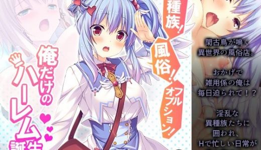 異種族！風俗！フルオプション！俺だけのハーレム誕生 6巻