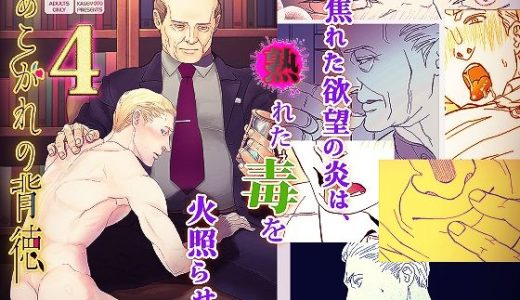 あこがれの背徳4