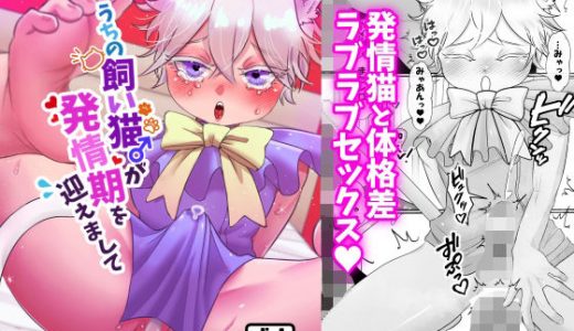 うちの飼い猫♂が発情期を迎えまして