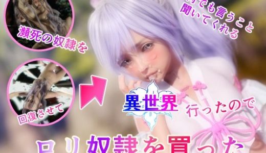 異世界行ったので●●奴●を買った