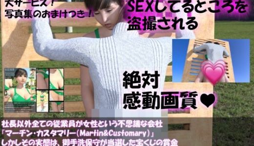 【▲100】社長以外全ての従業員が女性という不思議な会社『マーチン・カスタマリー（Martin＆Customary；）』しかしその実態は、御手洗保守が当選した宝くじの賞金7億円を元手に設立した、「保守の」「保守による」「保守のための」女性モデル盗撮特化型法人であった！（犠牲者38:瑠華のセックスシーン:立位）