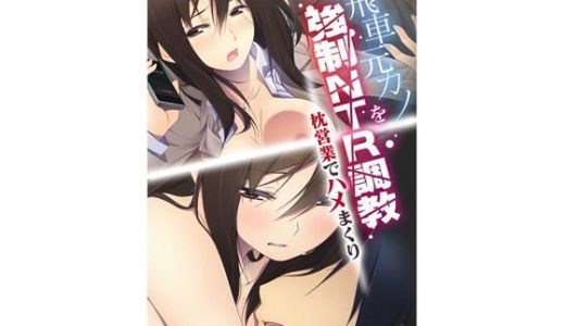 高飛車元カノを強●NTR（ネトラレ）調教 枕営業でハメまくり モザイクコミック総集編