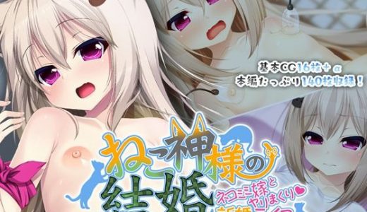 ねこ神様の結婚 ～ネコミミ嫁とヤリまくり新婚ライフ～