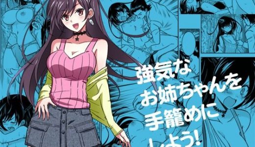 強気なお姉ちゃんを手籠めにしよう！