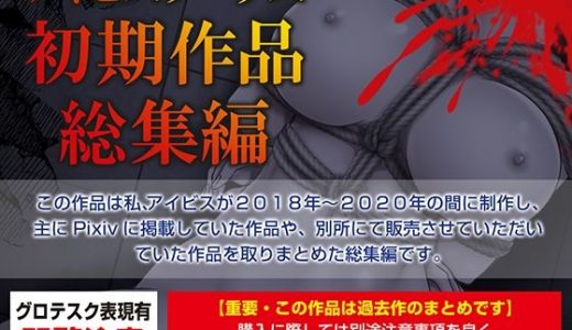 アイビスワークス・初期作品総集編