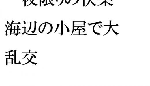 一夜限りの快楽 海辺の小屋で大乱交