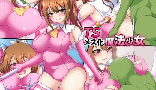 TSメス化魔法少女