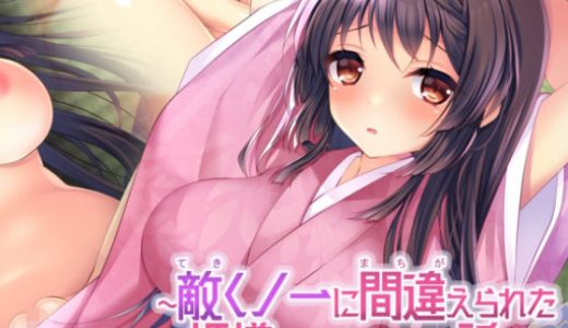 敵くノ一に間違えられた姫様が×××される話