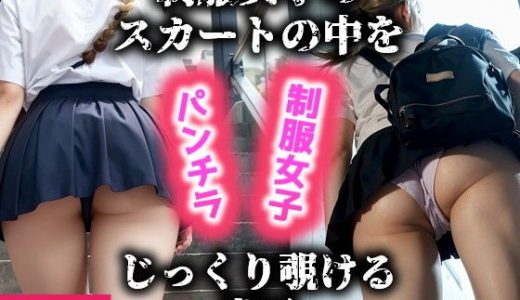 制服女子のスカートの中をじっくり覗ける世界