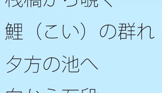 【無料】桟橋から覗く鯉（こい）の群れ 夕方の池へ向かう石段
