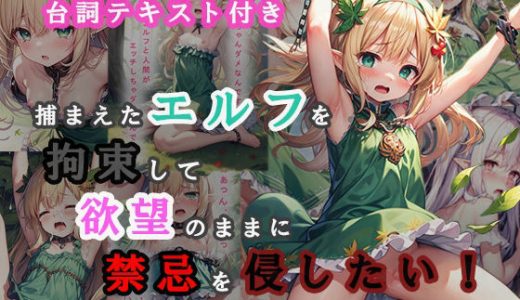 捕まえたエルフを拘束して欲望のままに禁忌を侵したい！