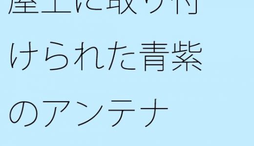 【無料】屋上に取り付けられた青紫のアンテナ