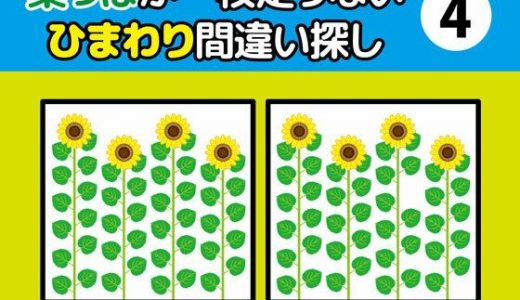 葉っぱが一枚足りないひまわり間違い探し（4）