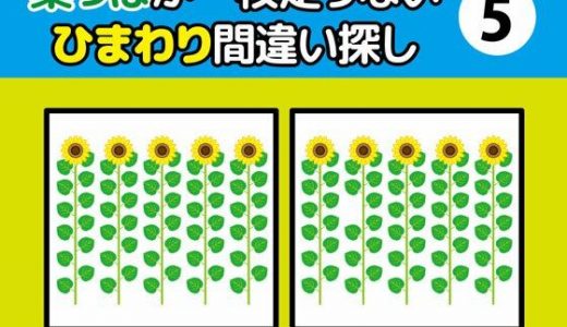 葉っぱが一枚足りないひまわり間違い探し（5）