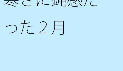 寒さに鈍感だった2月